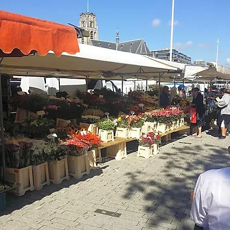 Baan 2* Rotterdam